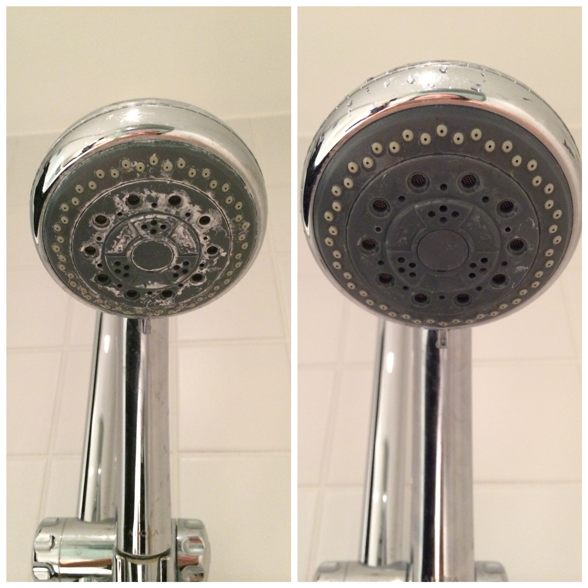 Before and after the vinegar treatment